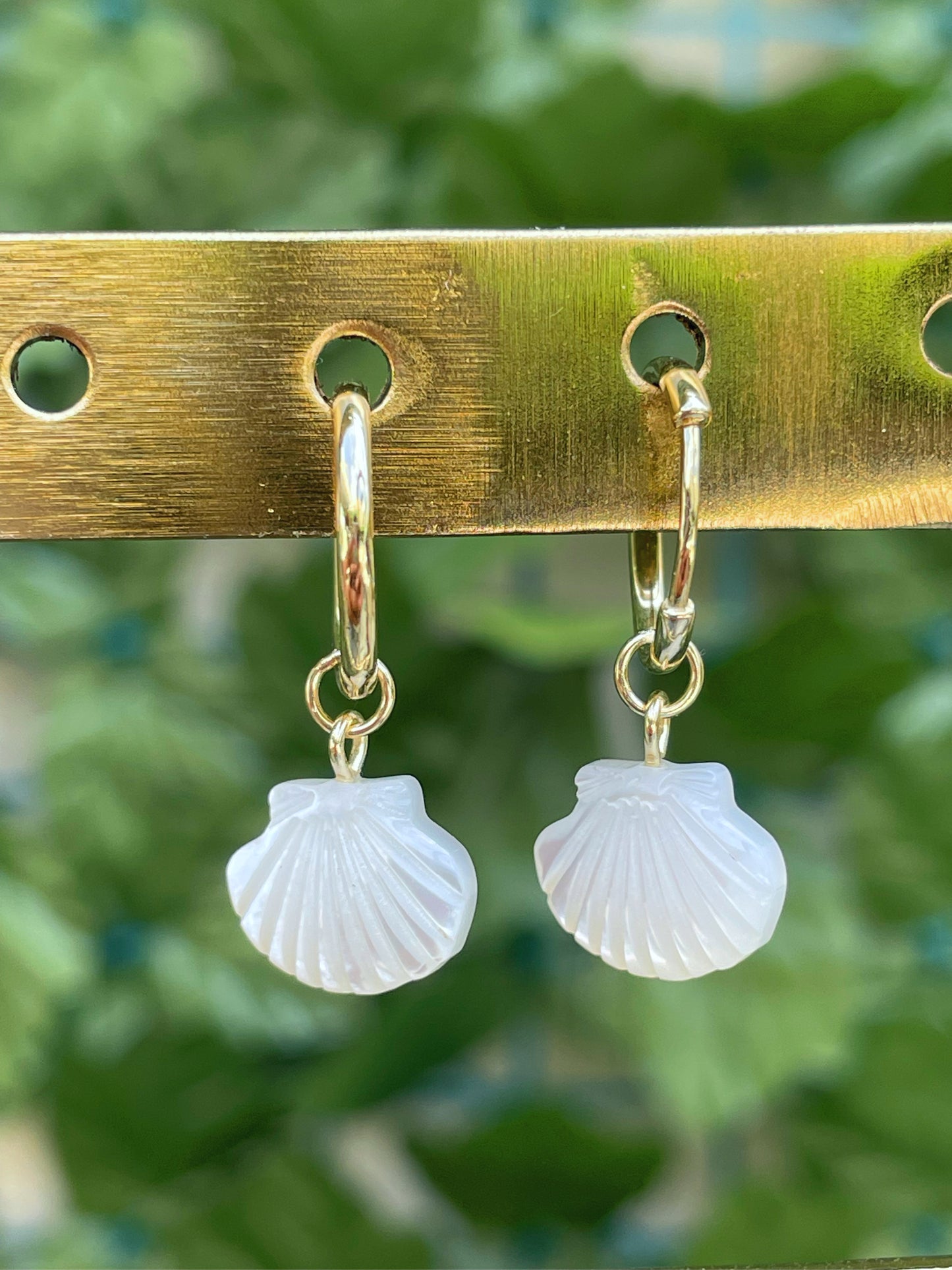 Seashell Hoop Earrings